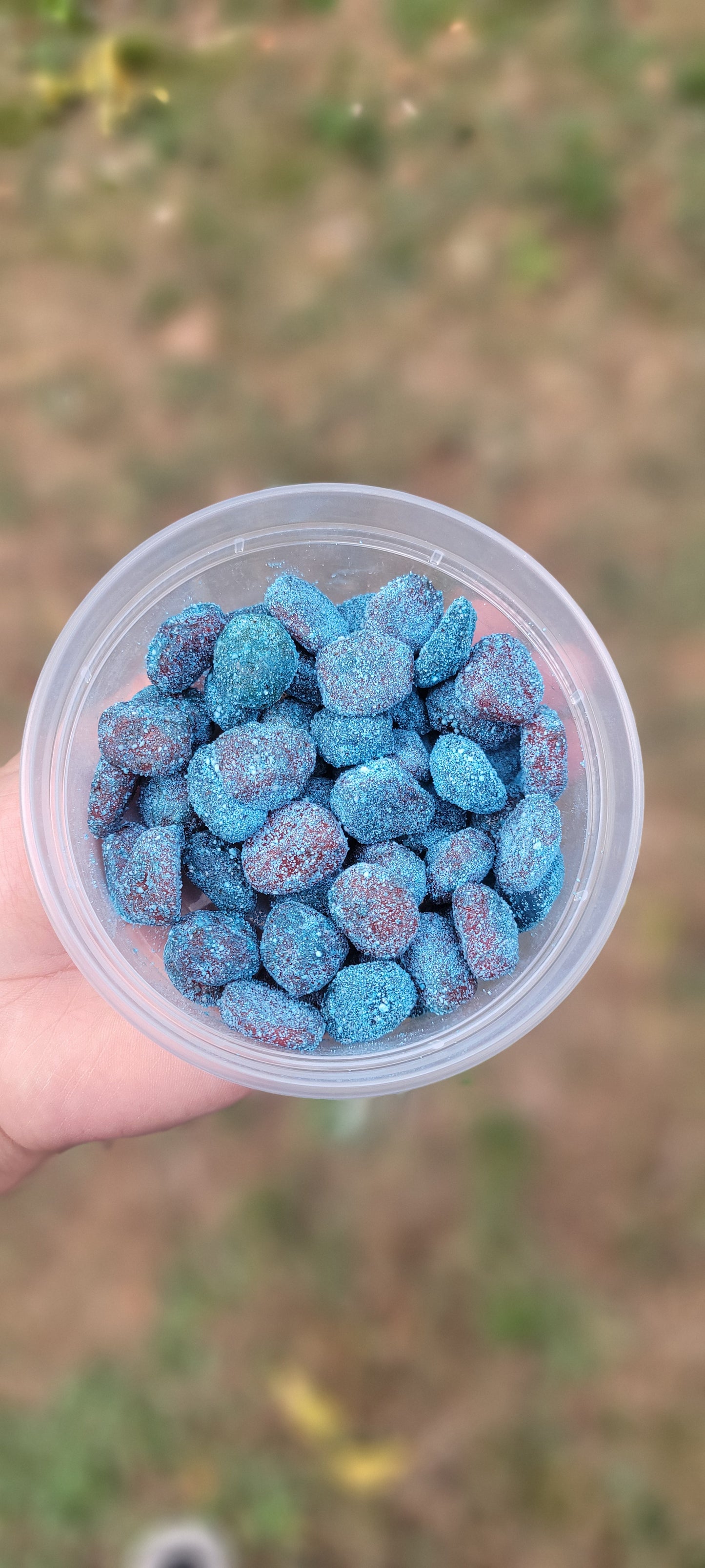 Frosted Gusherz - VIRAL Sour Blue Razz Gusherz
