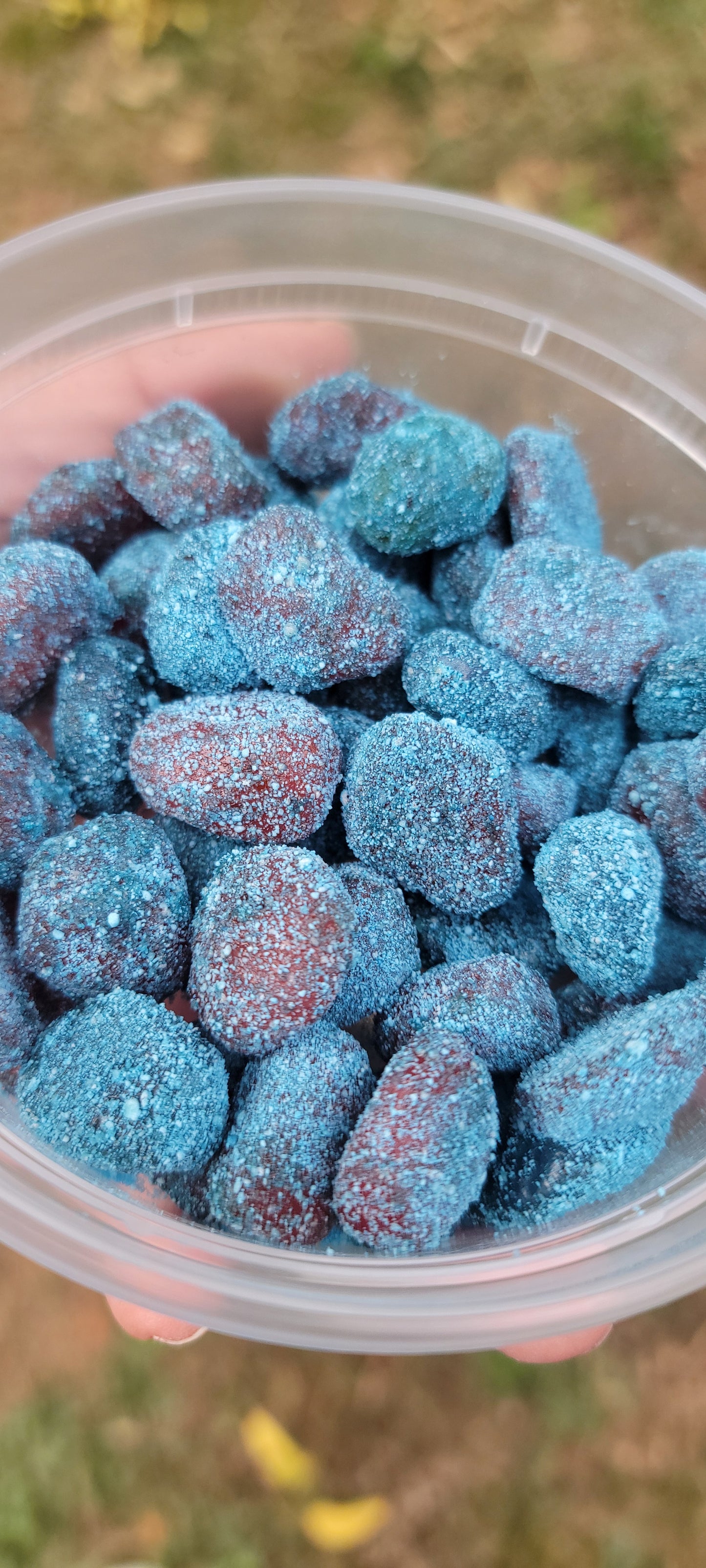 Frosted Gusherz - VIRAL Sour Blue Razz Gusherz