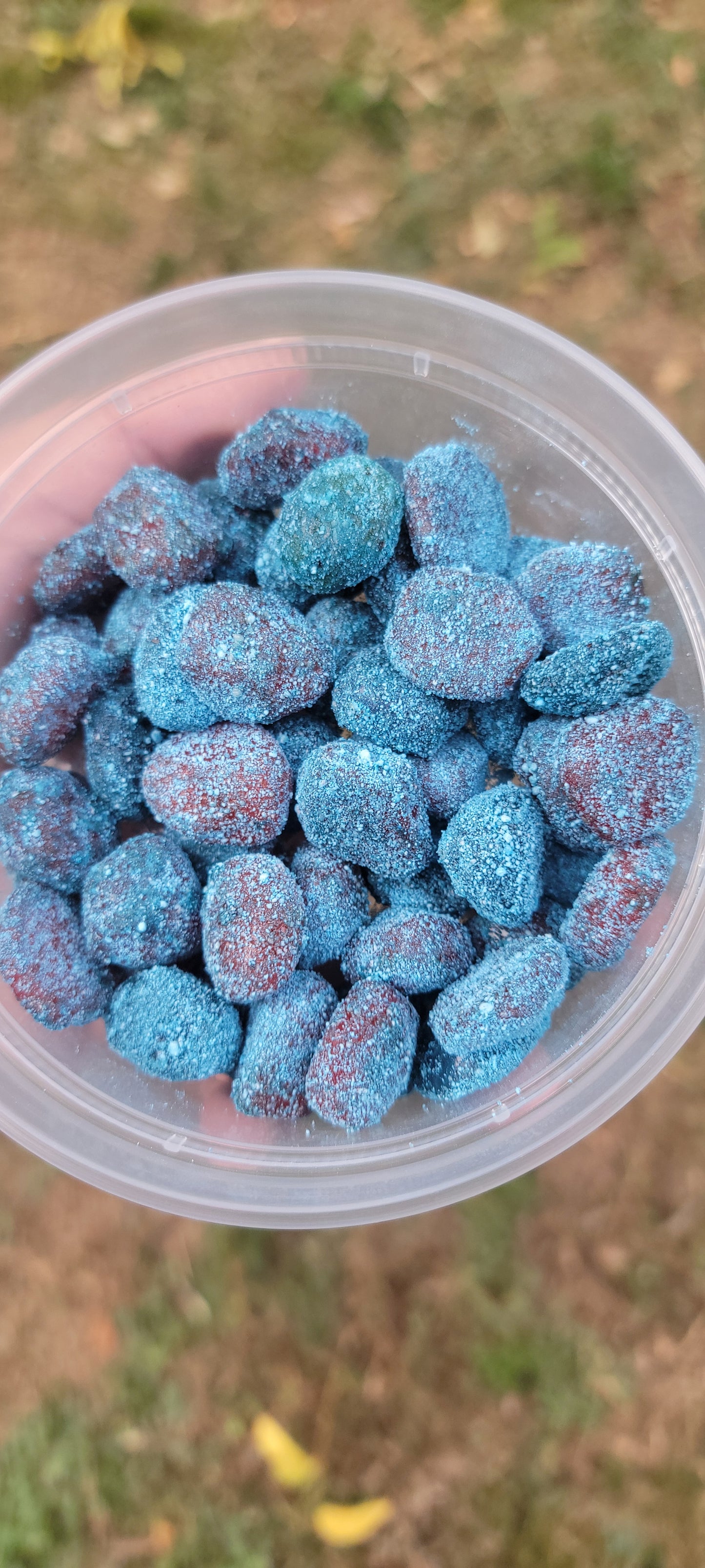 Frosted Gusherz - VIRAL Sour Blue Razz Gusherz
